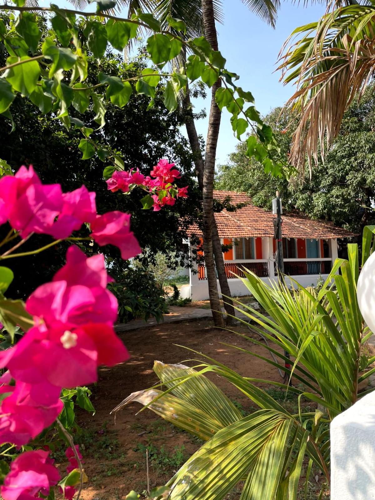 Papilio Beach Front Cottages-Tbv Бага Екстер'єр фото